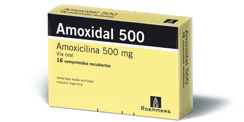 Amoxidal 500